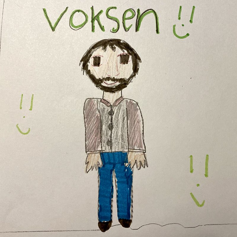 Bøger skrevet for voksne
